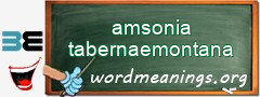 WordMeaning blackboard for amsonia tabernaemontana